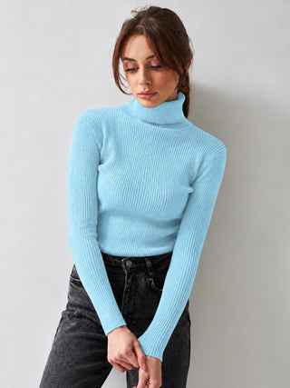 Ribbed Knit Turtleneck Sweater