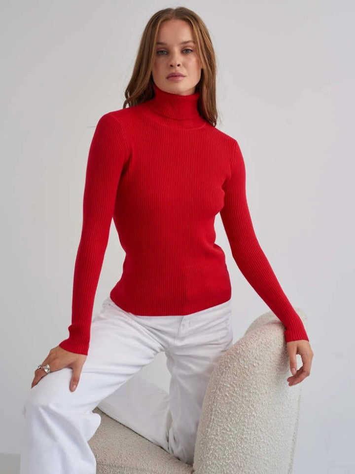 Ribbed Knit Turtleneck Sweater