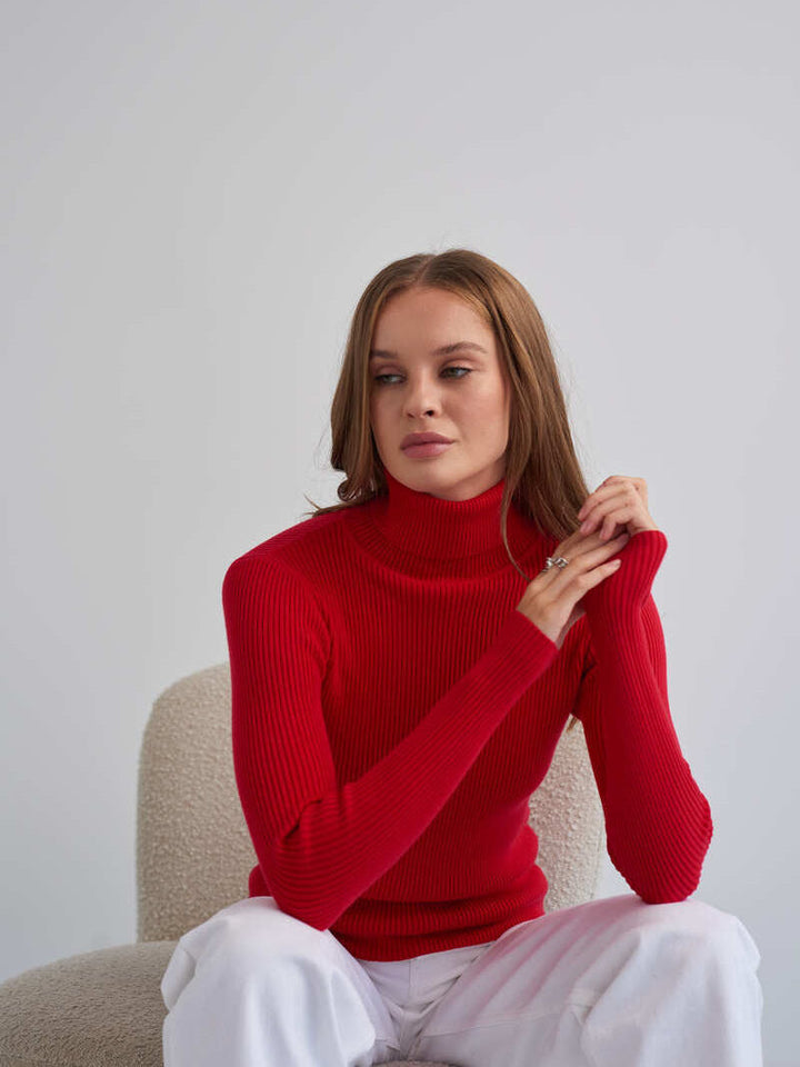 Ribbed Knit Turtleneck Sweater